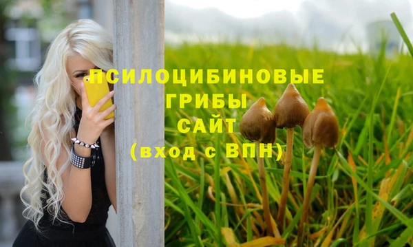 ALPHA PVP Богородск