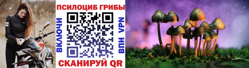 как найти закладки  MEGA ONION  Псилоцибиновые грибы мухоморы  Завитинск 